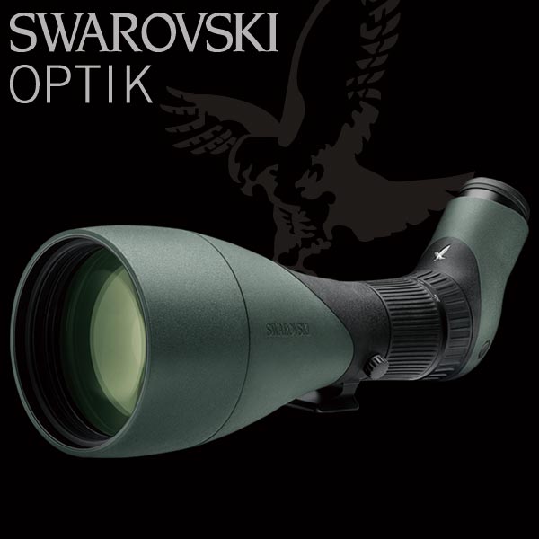 스와로브스키 ATX 115(30-70배) 스코프 세트 철새관측