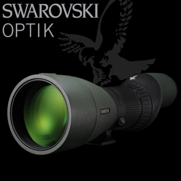 스와로브스키 STX 95(30-70배) 스코프 세트 철새관측